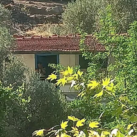 Narkonaklama Narlidere